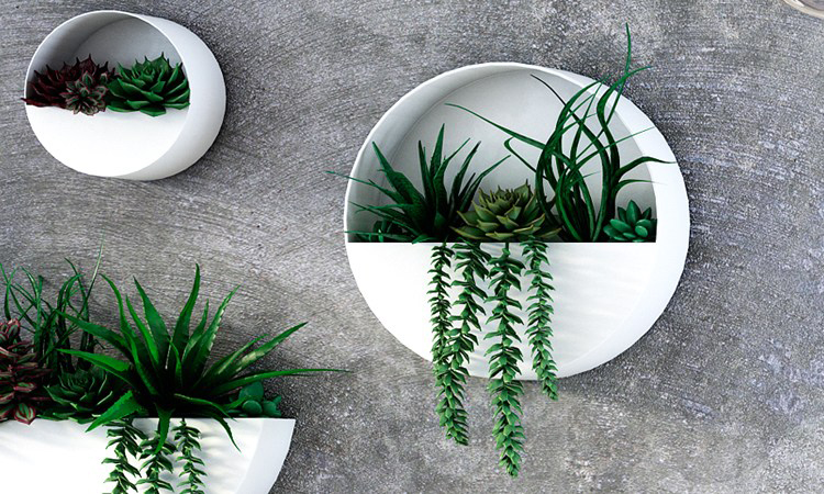 Decoración de plantas para cocinas